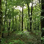 Semesterbostad Terra Seren En Perigord Siorac-de-Riberac