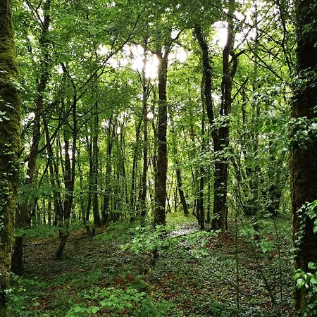 بيت للعطل Terra Seren En Perigord Siorac-de-Riberac